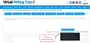 essay evaluation